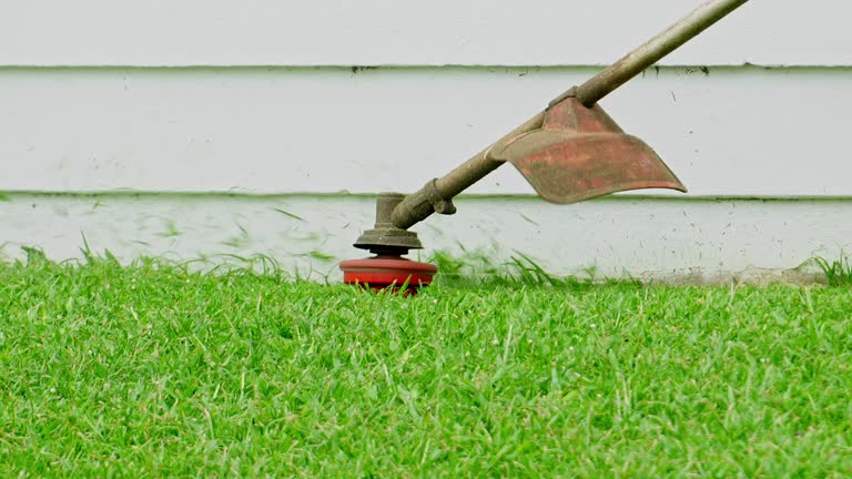 Grass Overseeding in Atwood, TN